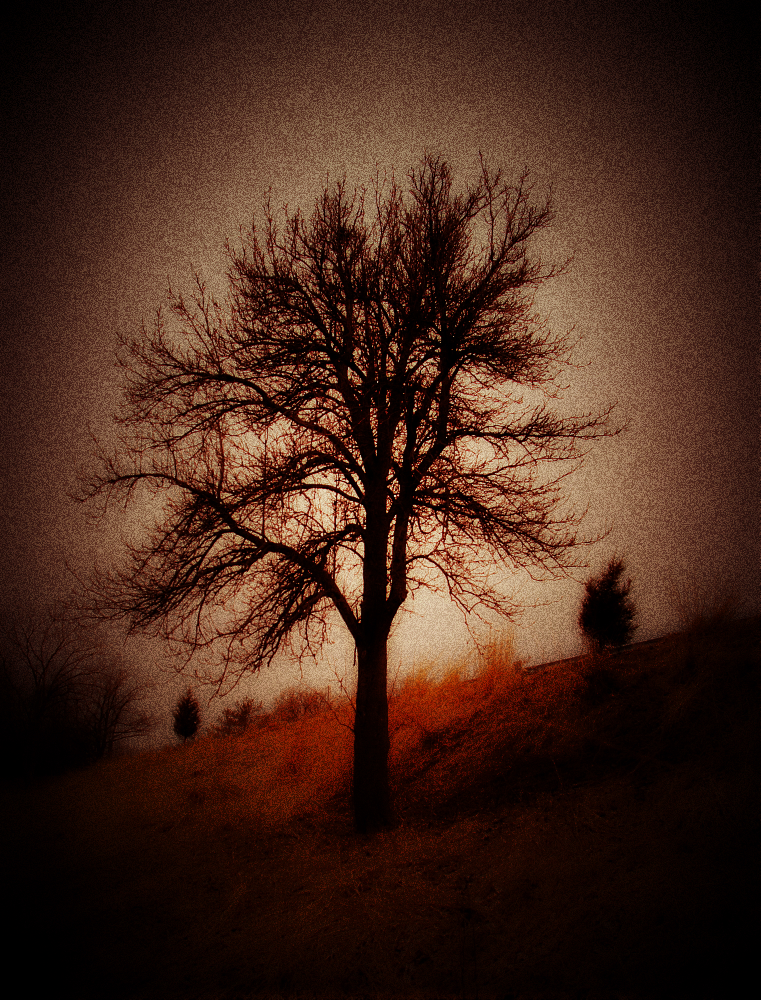 http://bbs.creaders.net/upfile/images/20140407/20140407192240_82550.jpg