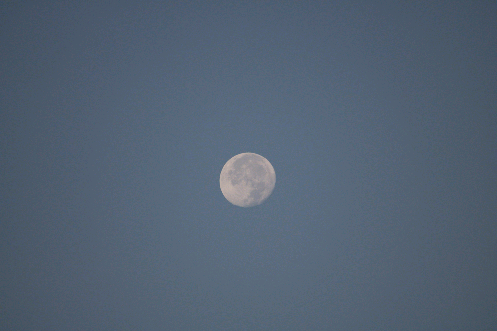 Moon in Morning 20180828.gif