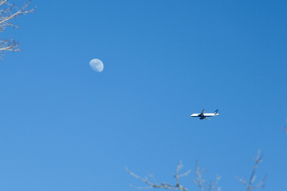 Moon Airplane Feb 2016.gif
