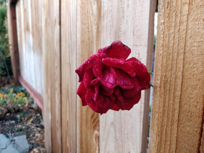 20181122081414_72957.jpg IMG_20181121_121051.jpg