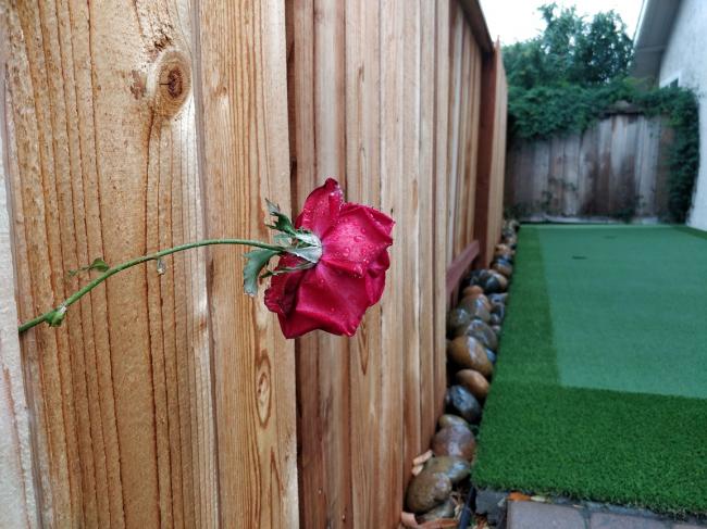 20181122081505_91453.jpg IMG_20181121_121206.jpg