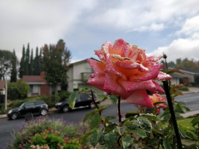 20181122081613_91524.jpg IMG_20181121_120506.jpg