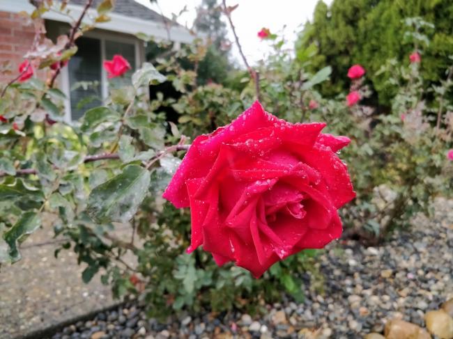 20181122081635_17168.jpg IMG_20181121_120554.jpg