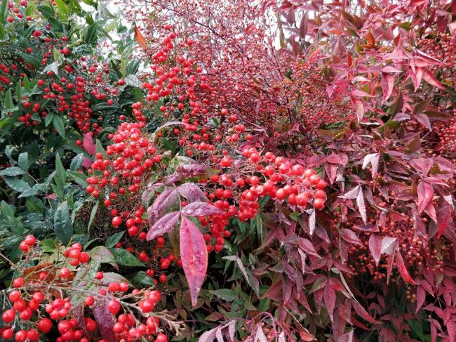 20181122081730_59509.jpg IMG_20181121_120853.jpg