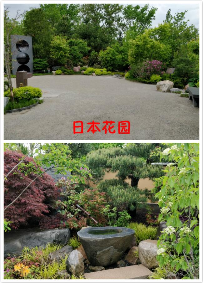 1 日本花园.jpg