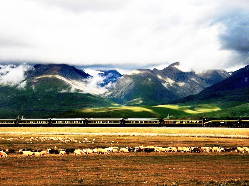 tibet-train-800.jpg