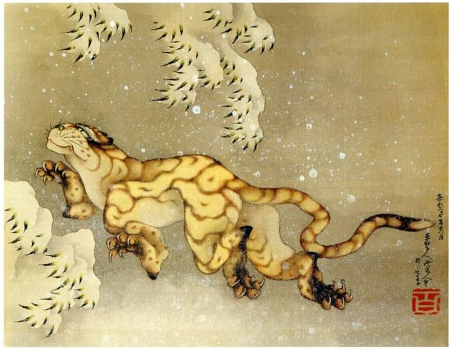 001 tiger in the snow 1849.jpg