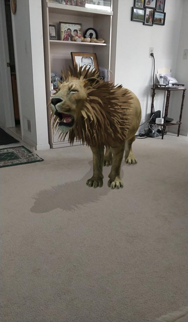 Lion 4.jpg
