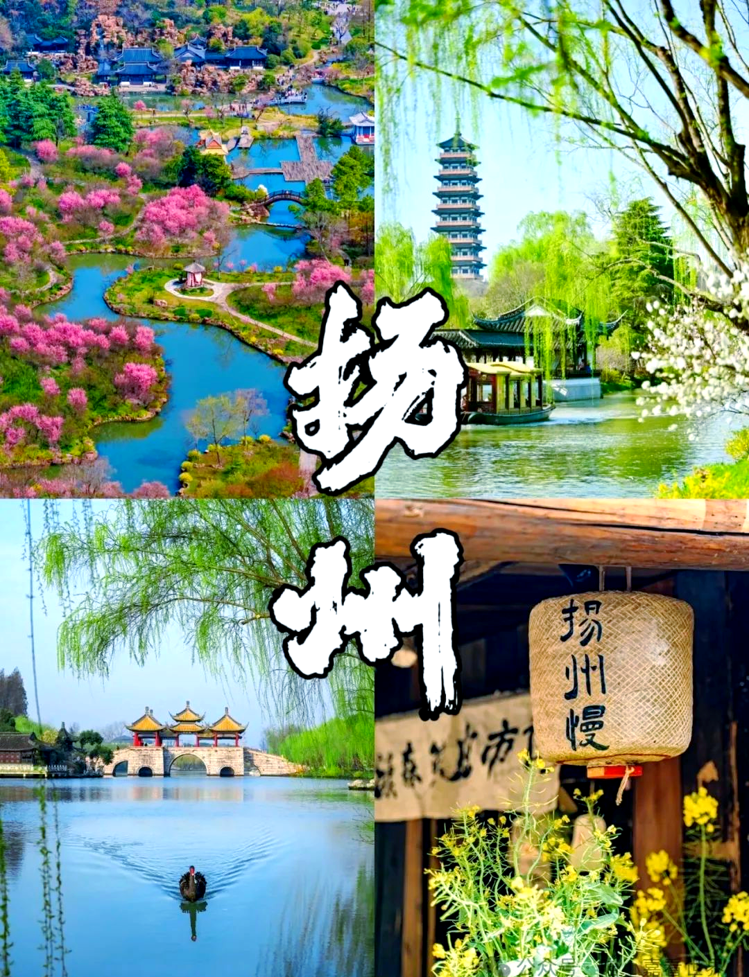 20250727122715_54229.png yangzhou.png