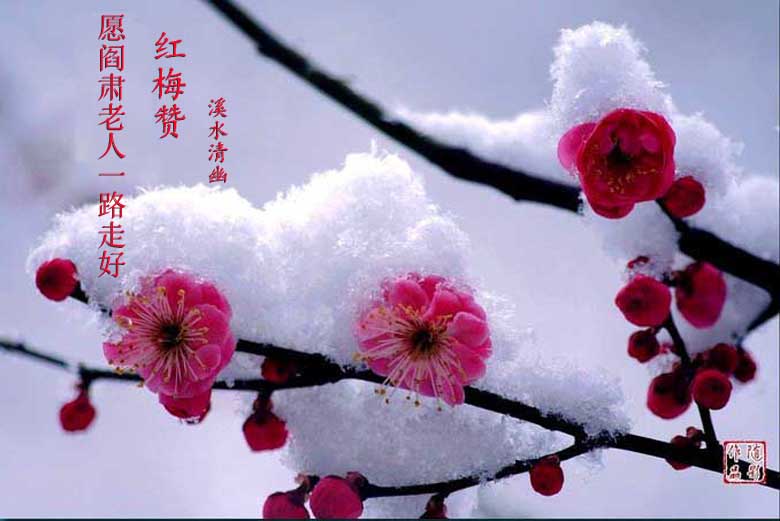 ��÷��1 ����.jpg