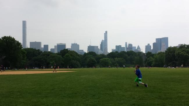 20160604_140239 (Small).jpg