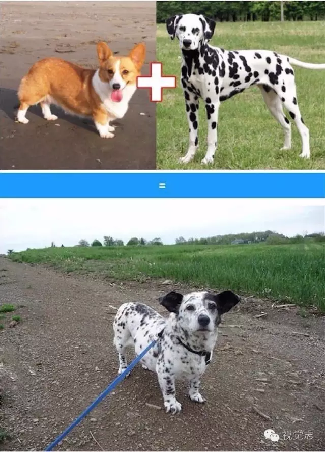 6.png