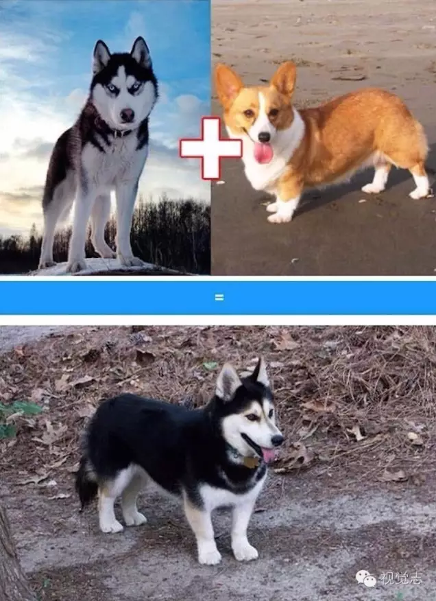 7.png