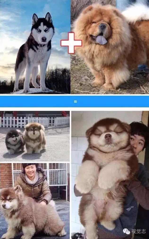 8.png