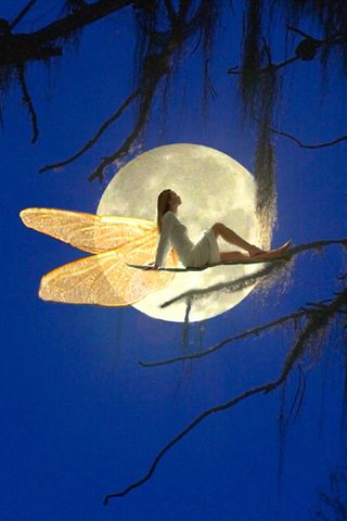 20160706065606_24808.jpg