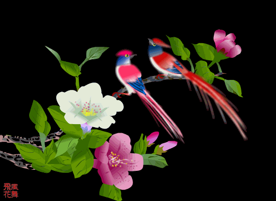 3.gif