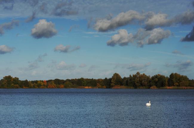 DSC_4260a.jpg