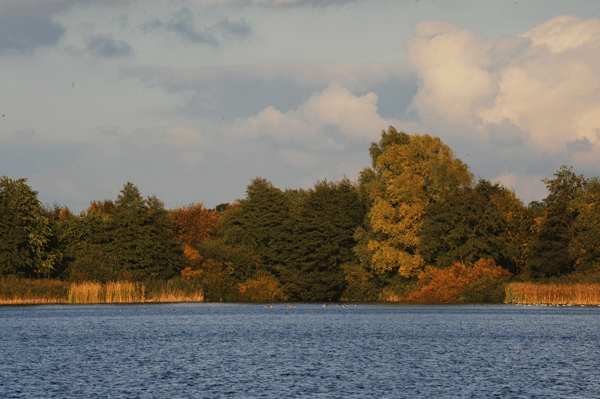 DSC_4034a.gif