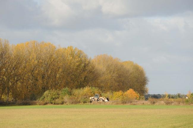DSC_4267a.jpg