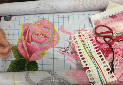 IMG_3904a.gif