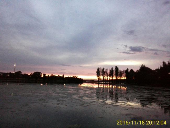 IMG_20161118_201204.jpg