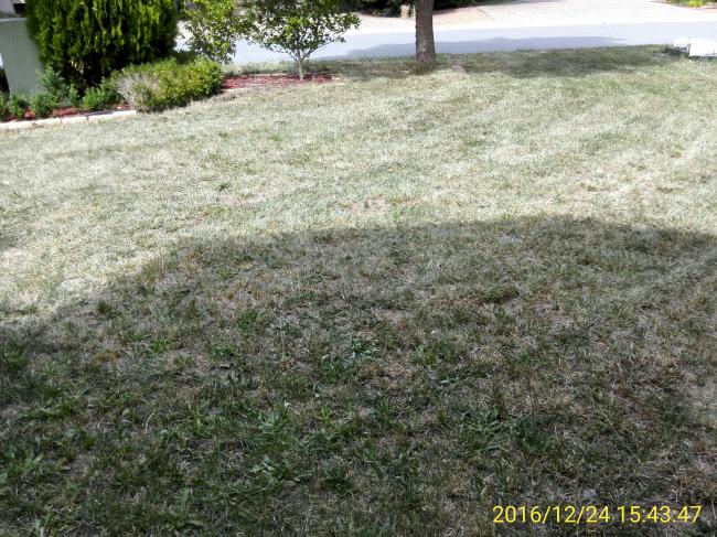 IMG_20161224_154347.jpg