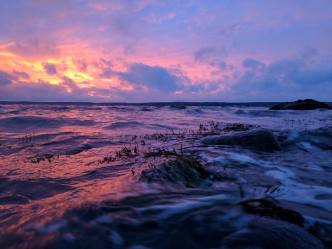 20161224135332_77263.jpeg image.jpeg