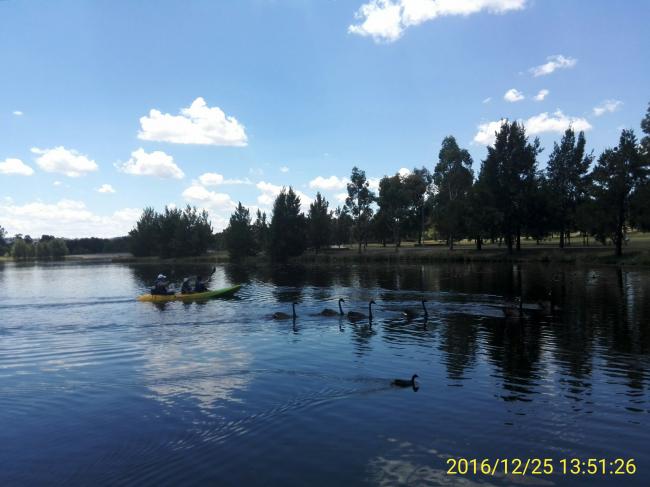 IMG_20161225_135126.jpg