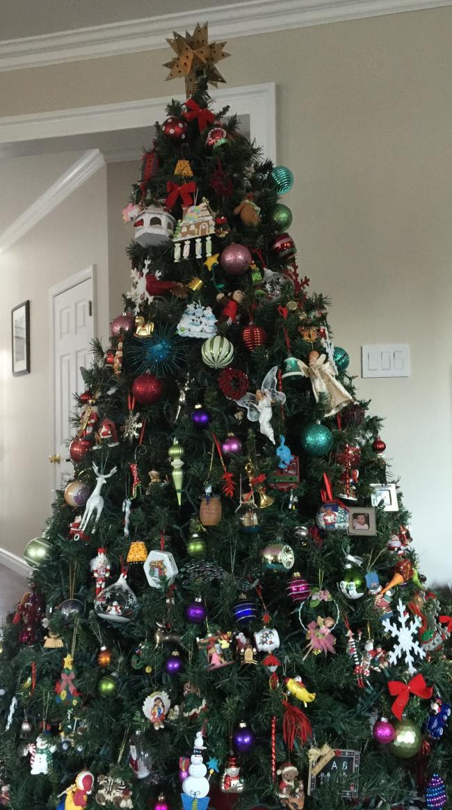 20161230210858_11307.jpg IMG_5996 E.jpg