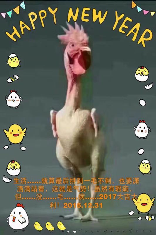Happy New Year 12-31-2016.jpg