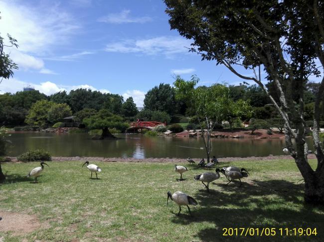 IMG_20170105_111904.jpg