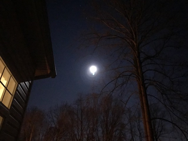 20170210085624_31242.jpg IMG_4993.JPG