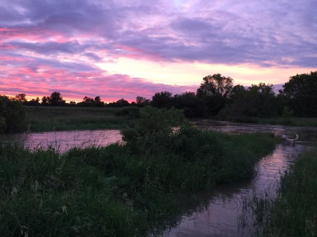 20170625083100_27444.jpg