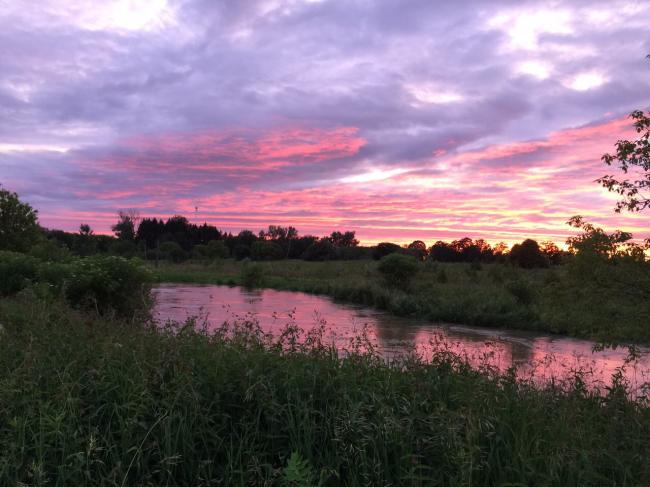 20170625083100_49476.jpg