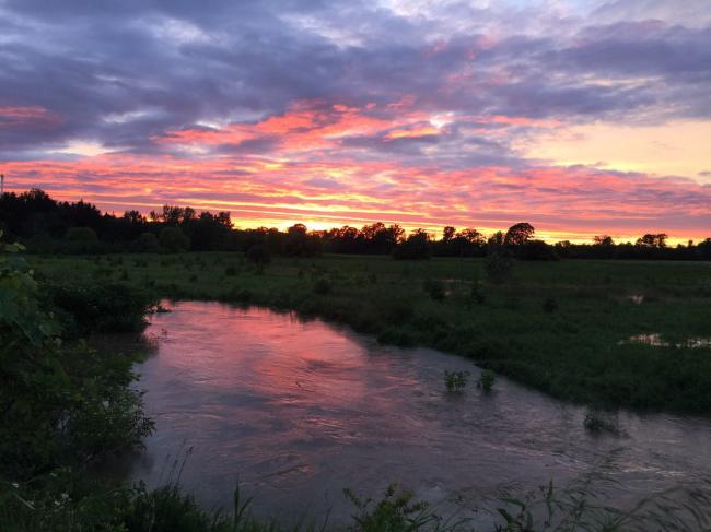 20170625083104_89490.jpg