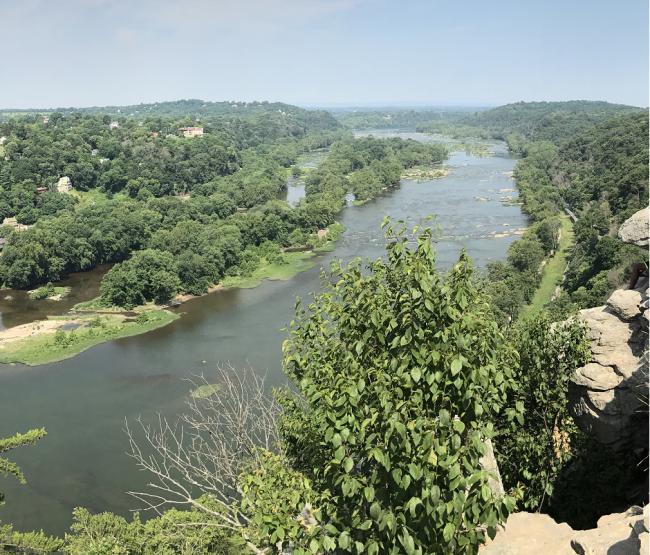 20170704141418_62680.png Untitled.png