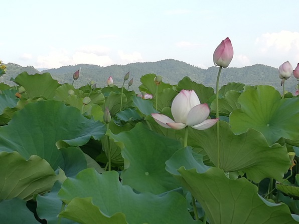 20170707143307_29465.jpg 22.jpg