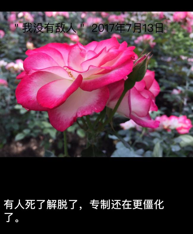 20170713165803_96117.png