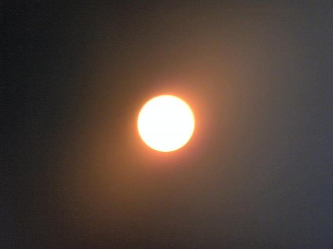 DSCN0281.JPG