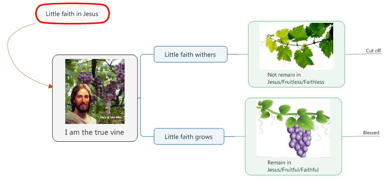 I am the true vine (5).bmp