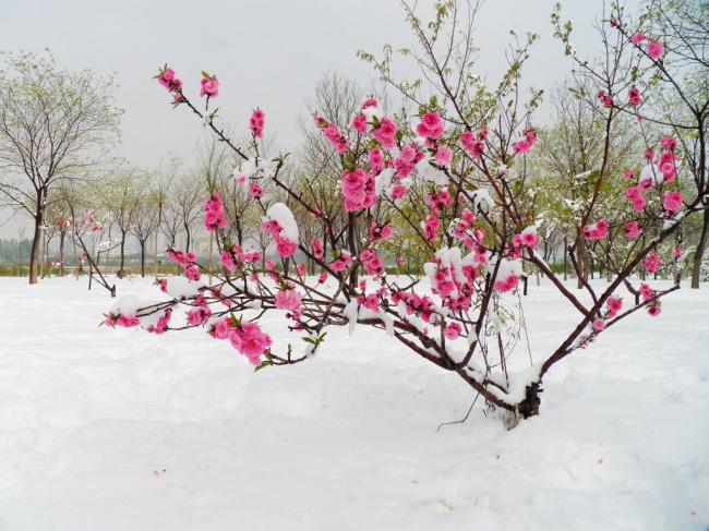 000754dbivhxun24bud4pp.jpg