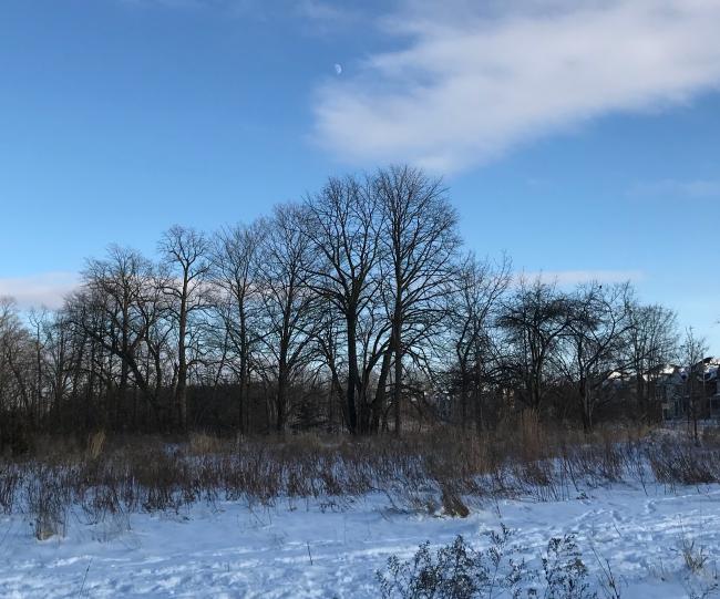 20171228134241_63720.jpeg
