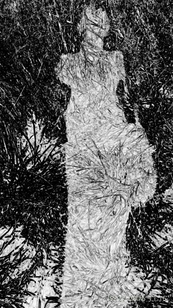 20171230021614_23437.jpg 20171230021614_23437.jpg