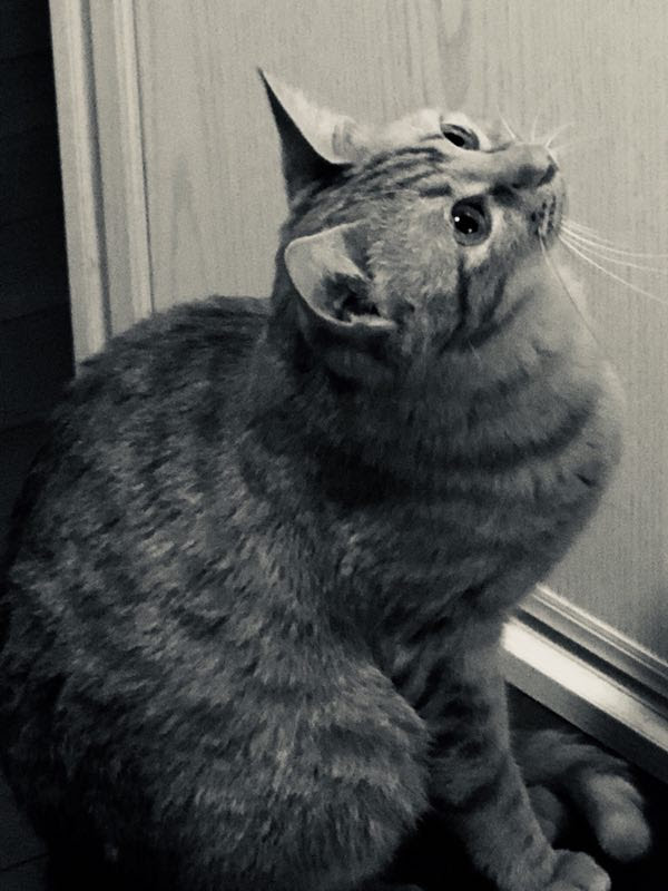 20180327061552_23292.jpg mmexport1522072106935.jpg