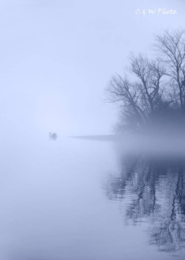 20180413001744_93413.jpg
