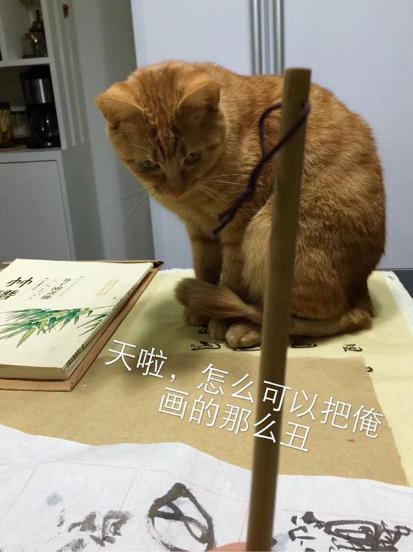 20180413002929_96533.jpg