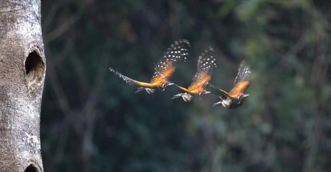 20180418035137_55059.jpg