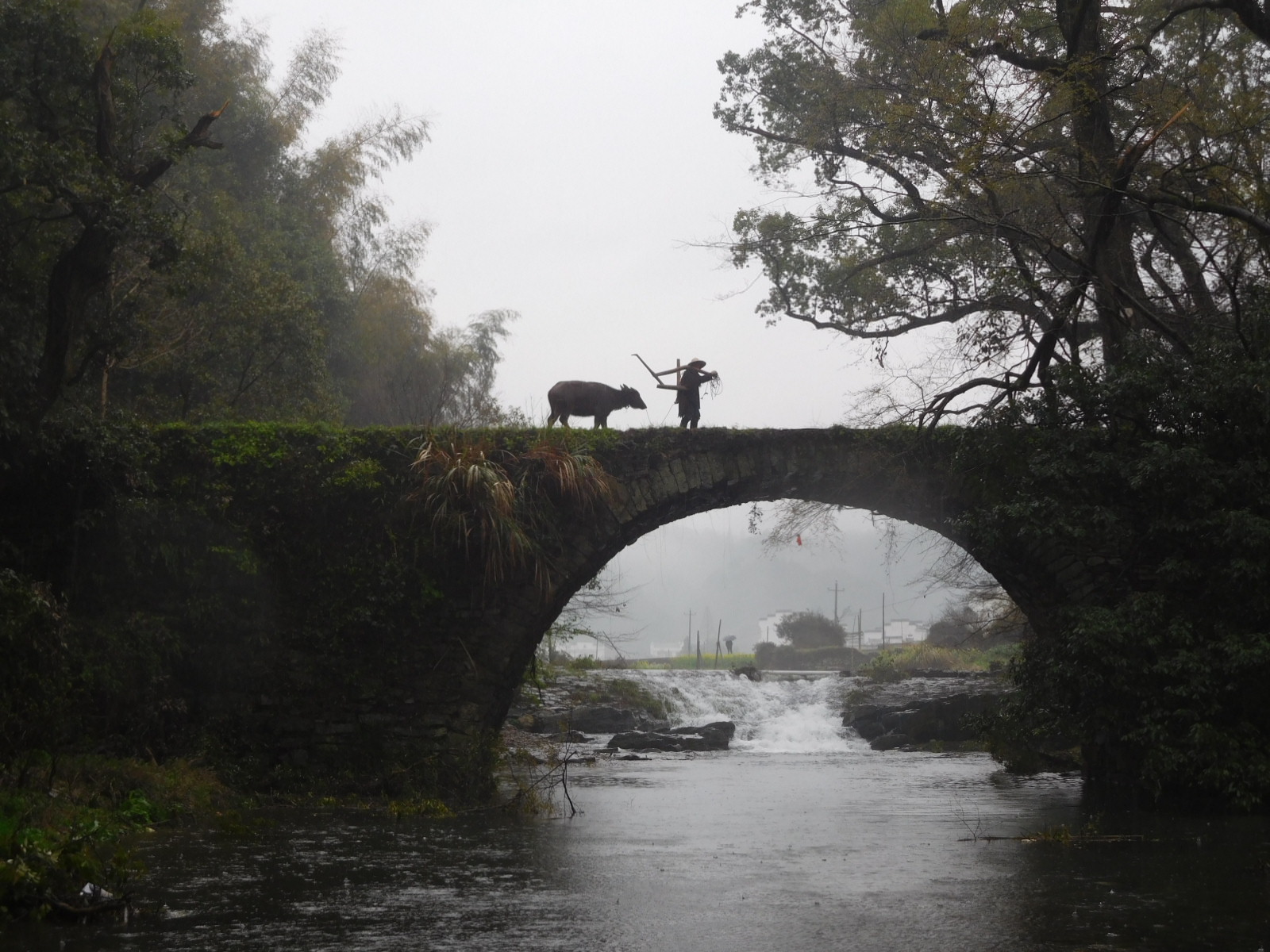 20180528105056_70869.jpg DSCN1193.JPG