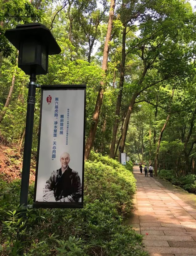 20180613035649_61647.jpg