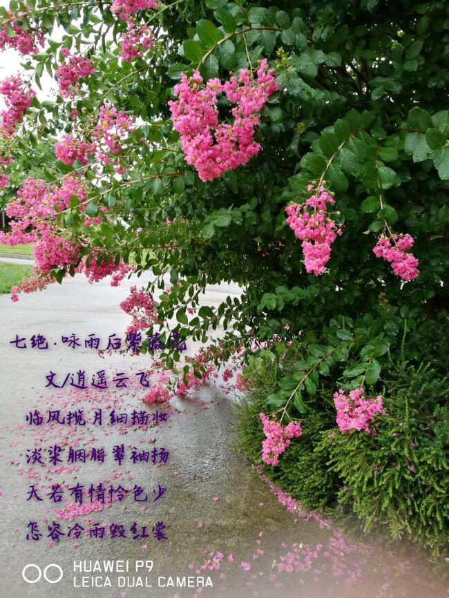 04DF401A-5A77-4AAD-9213-D3A2A9E39670.jpeg